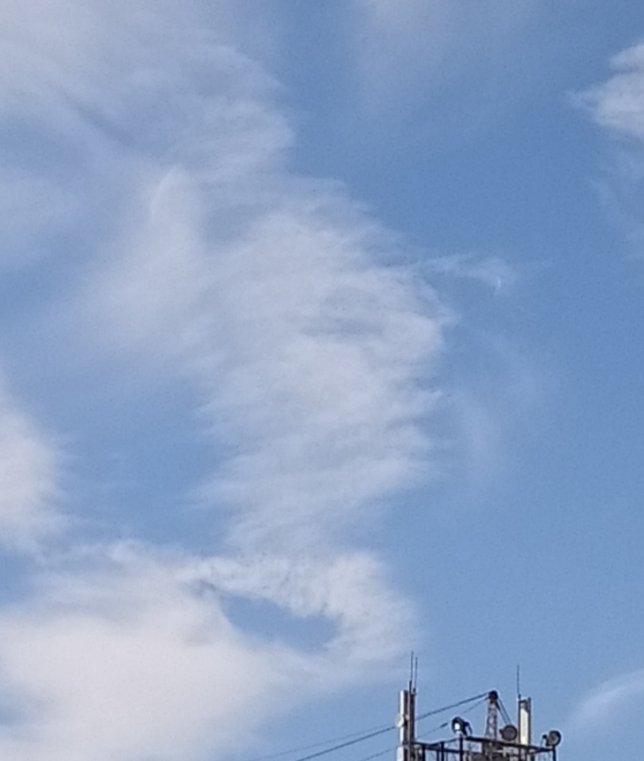  Страница 84 - Форум 