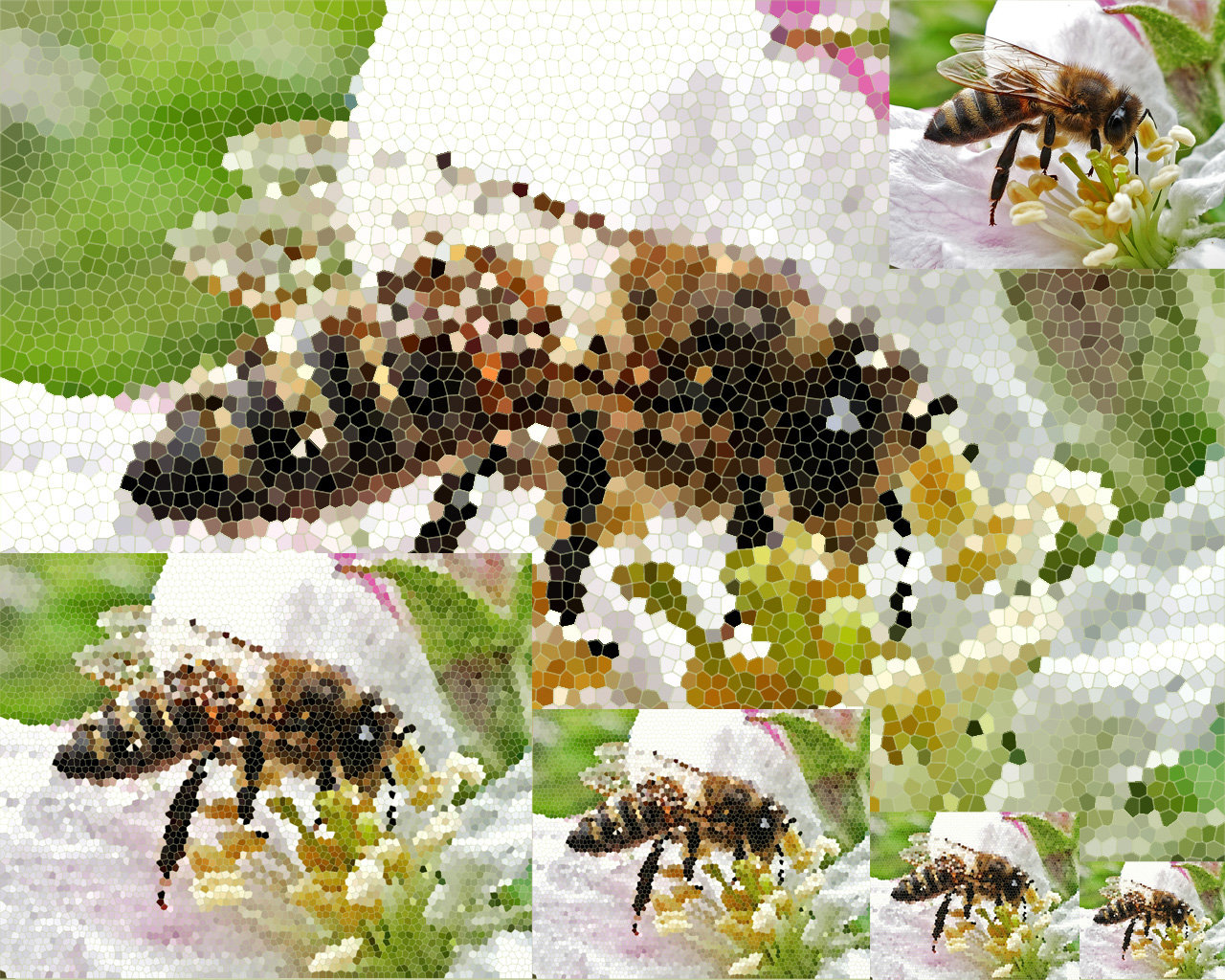 лики - Страница 7 - Форум 