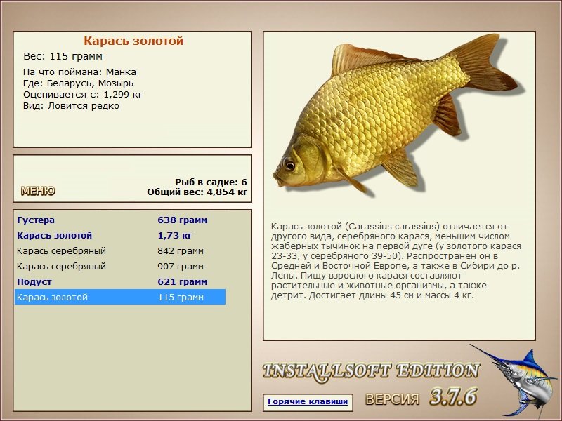 турниры • РУССКАЯ РЫБАЛКА