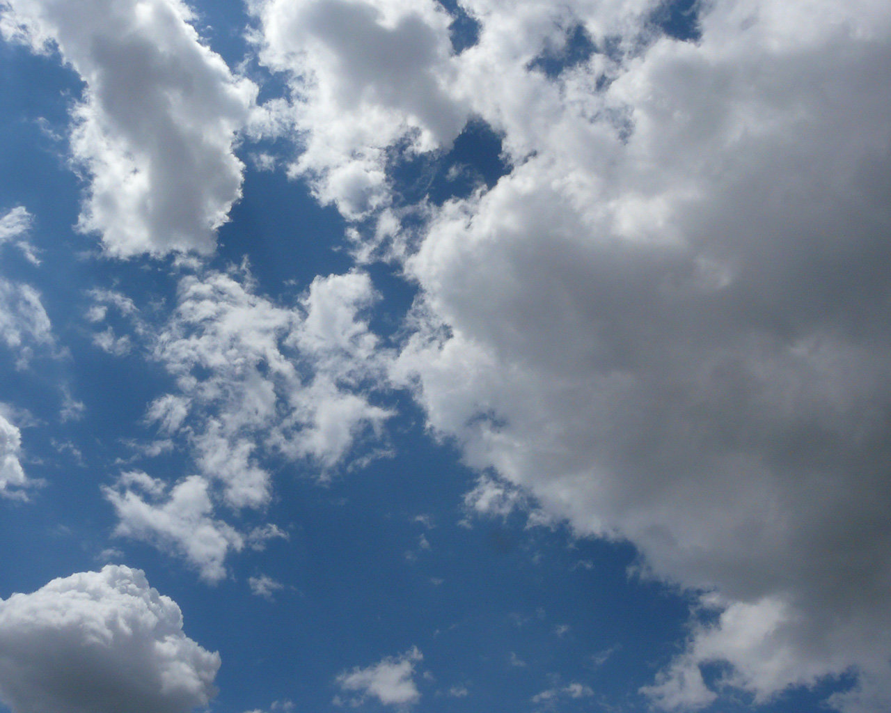 лики - Страница 8 - Форум 