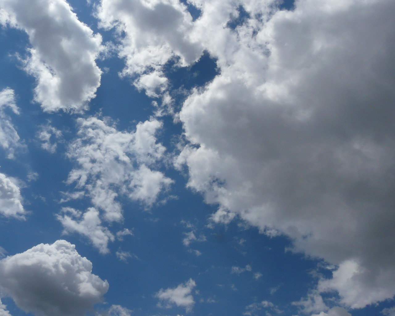 лики - Страница 8 - Форум 