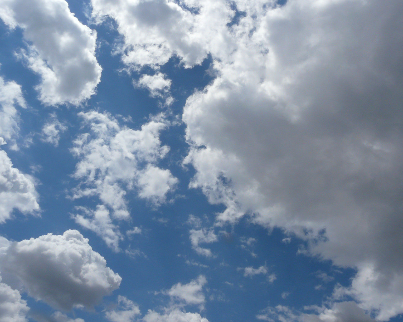 лики - Страница 8 - Форум 