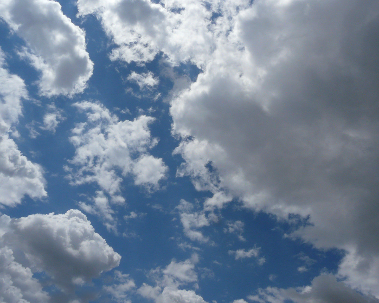 лики - Страница 8 - Форум 