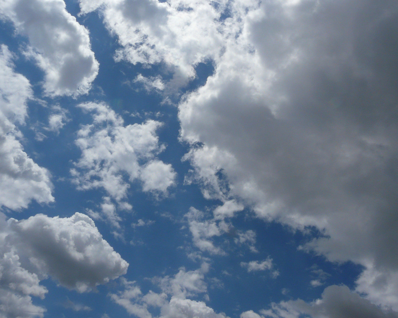 лики - Страница 8 - Форум 