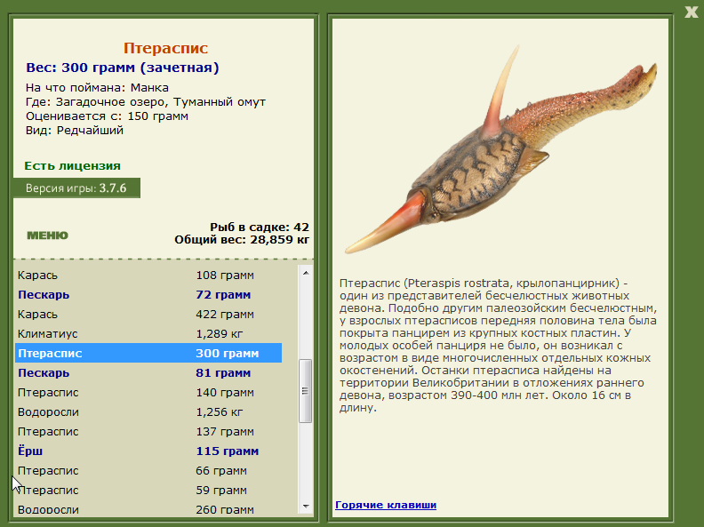 Туманный омут 