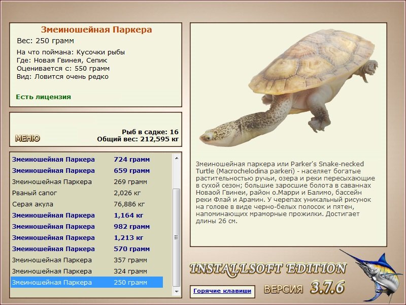 Сепик 