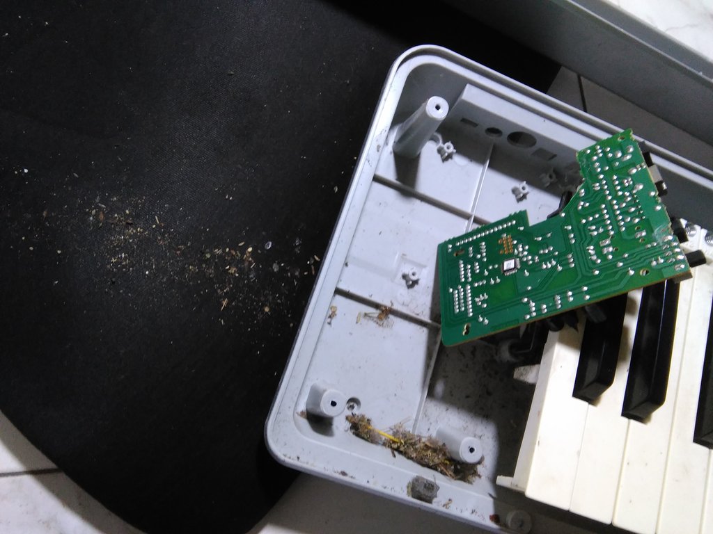  Ремонт M-audio Keystation 61 es (usb midi)