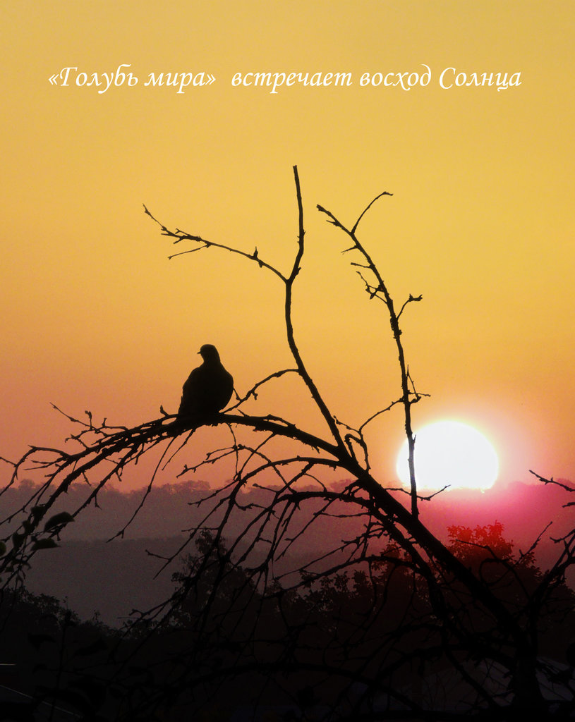  Страница 86 - Форум 