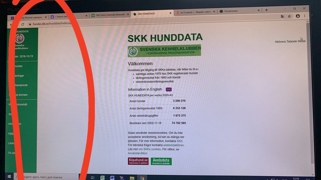Изображение