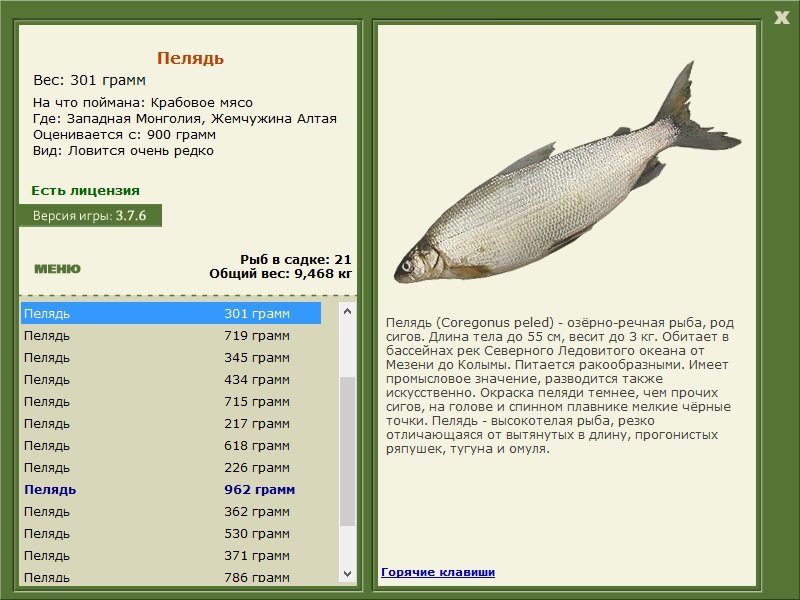 турниры • РУССКАЯ РЫБАЛКА