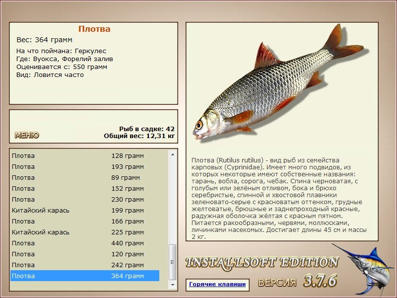Форелий залив 