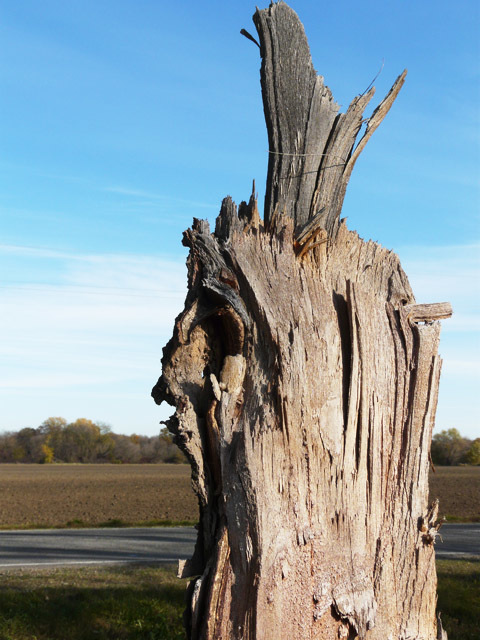 лики - Страница 10 - Форум 