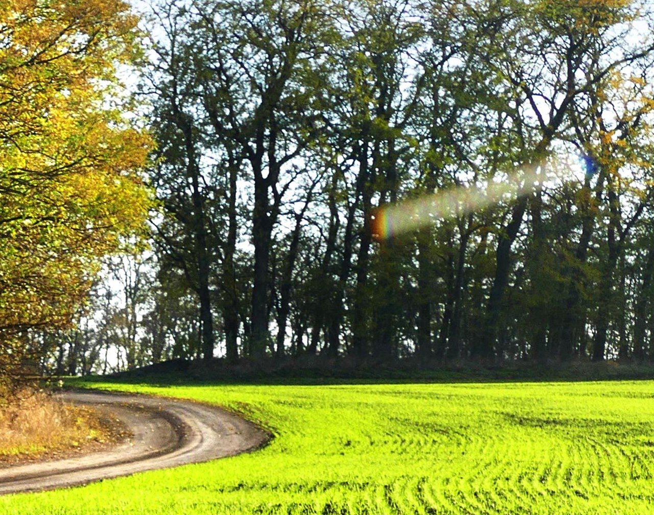  Страница 86 - Форум 