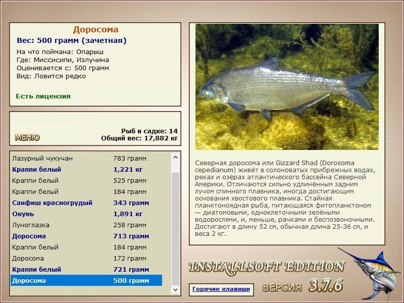 РУССКАЯ РЫБАЛКА Installsoft Edition 