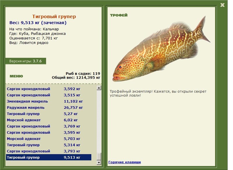 Тигровый групер 