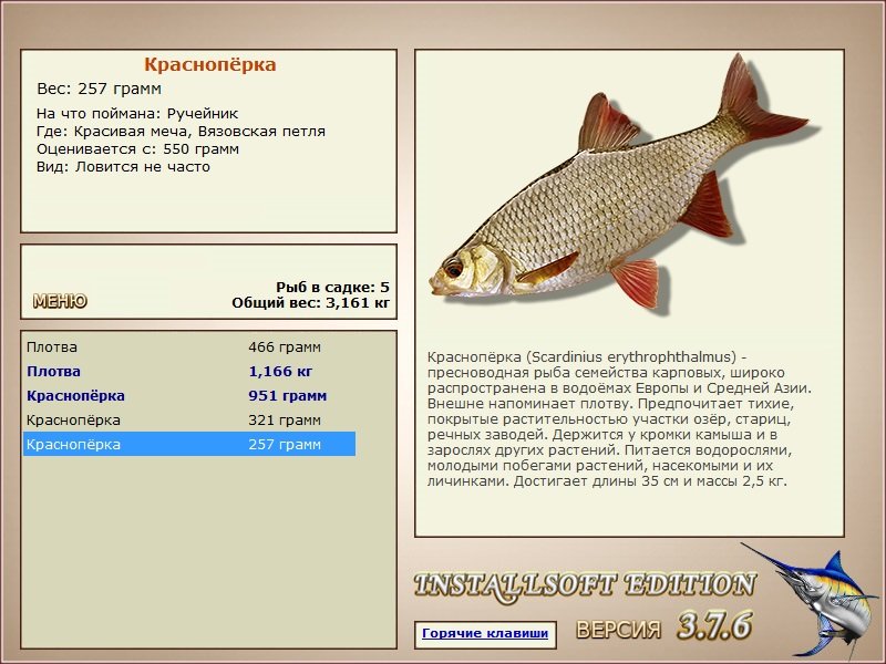 Вязовская петля 
