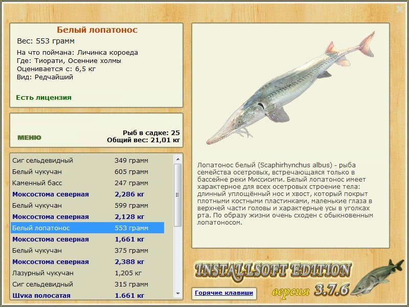 Осенние холмы 