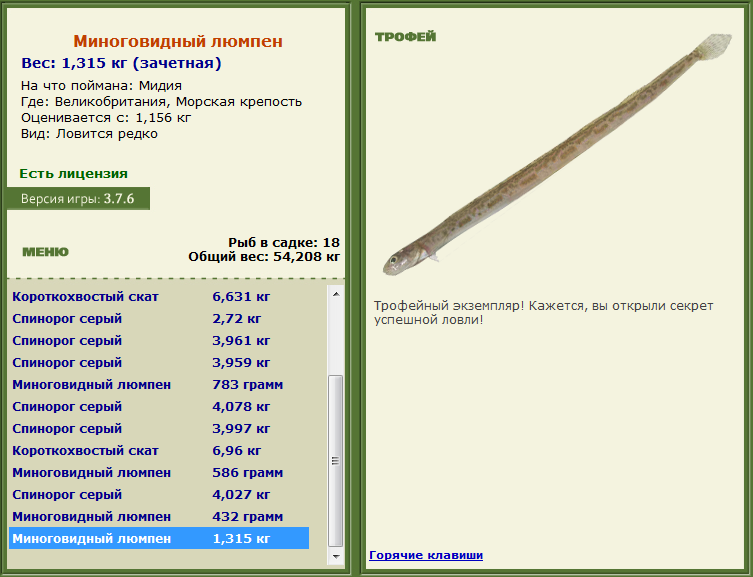 турниры • РУССКАЯ РЫБАЛКА