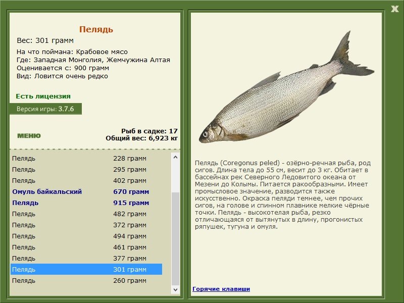 турниры • РУССКАЯ РЫБАЛКА
