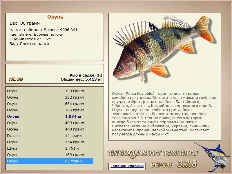 Бурные потоки 