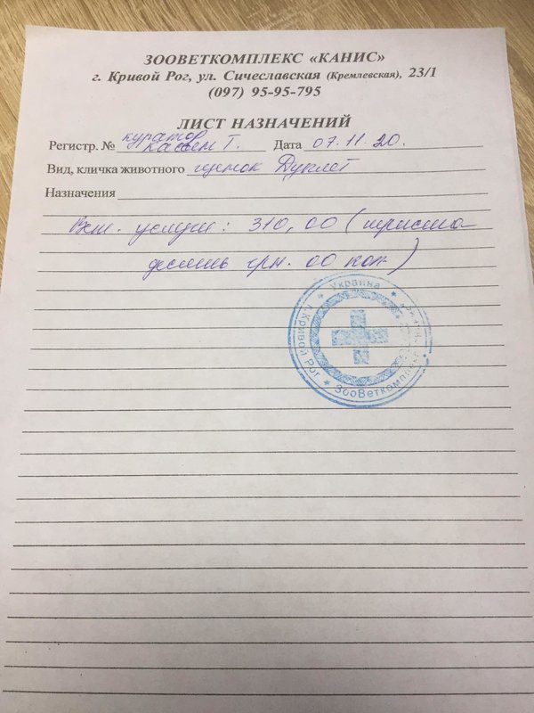 Re: Финансовый отчет брошенных щенков с Ласточки 