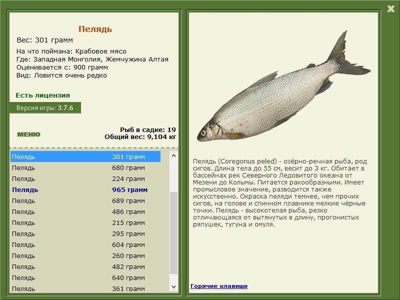 турниры • РУССКАЯ РЫБАЛКА