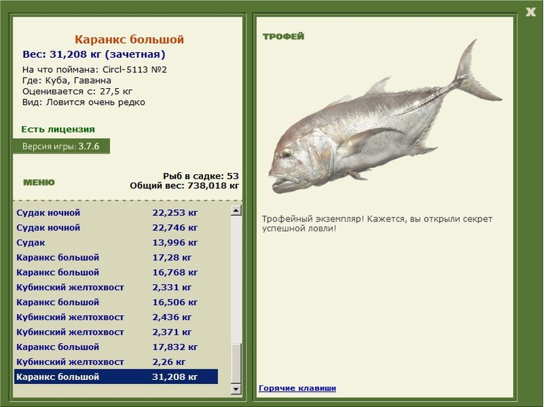 Каранкс большой 