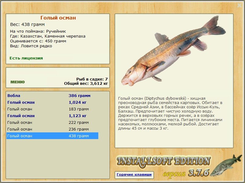 Каменная черепаха 