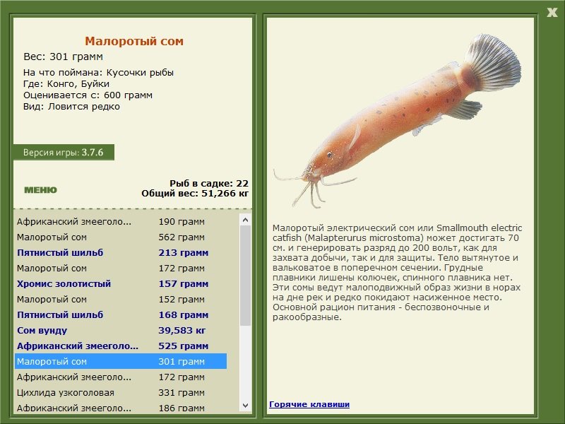 турниры • РУССКАЯ РЫБАЛКА