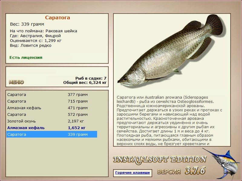 Фицрой 