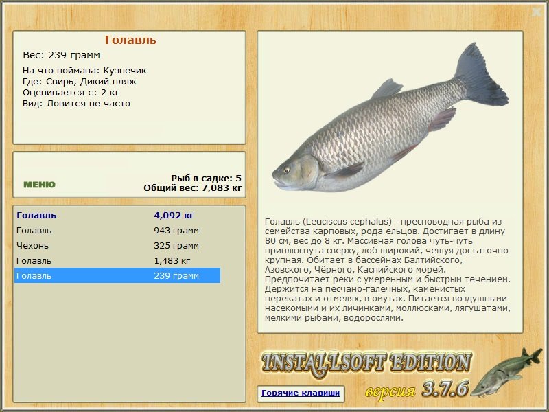 Дикий пляж 