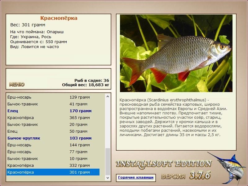 РУССКАЯ РЫБАЛКА Installsoft Edition 