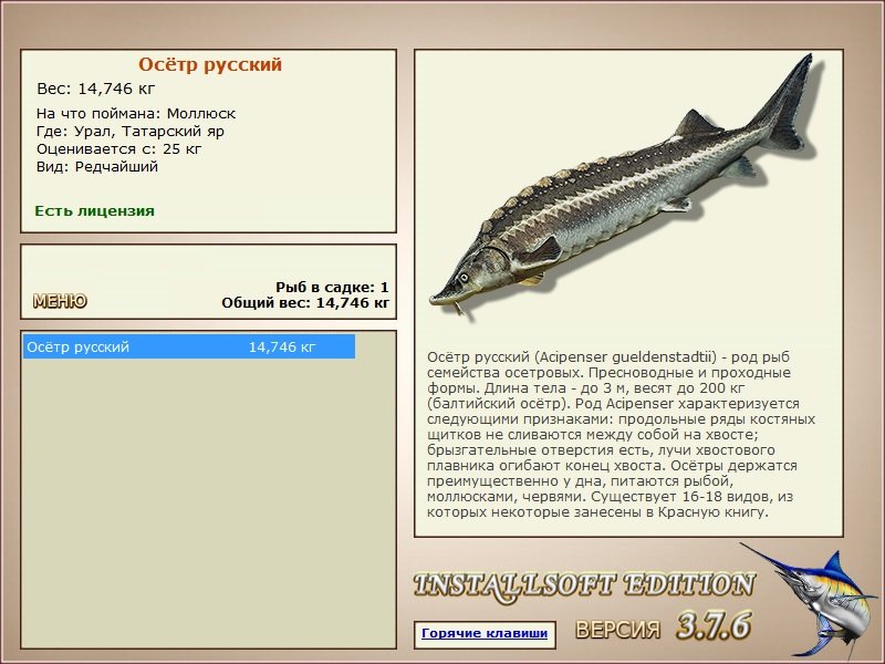 турниры • РУССКАЯ РЫБАЛКА
