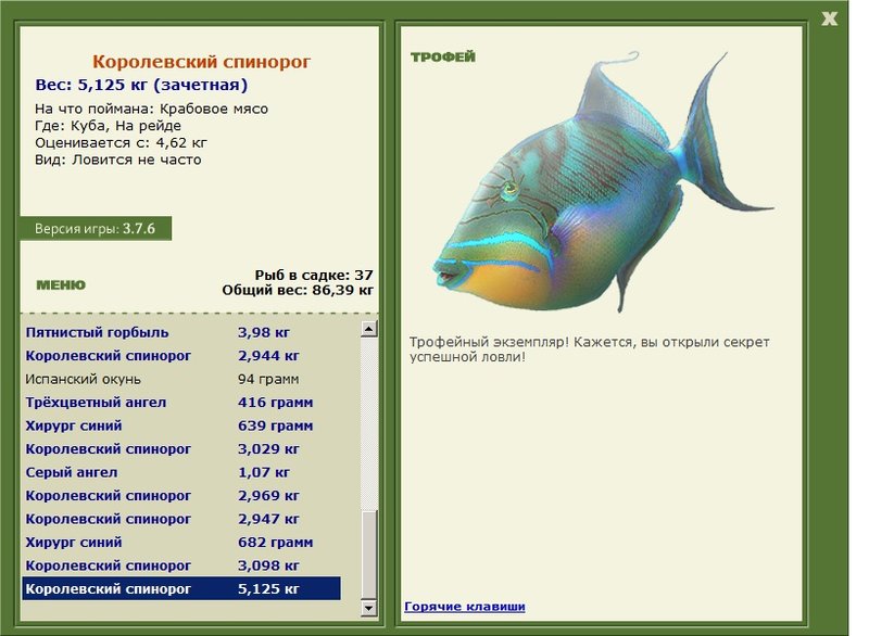 Королевский спинорог 