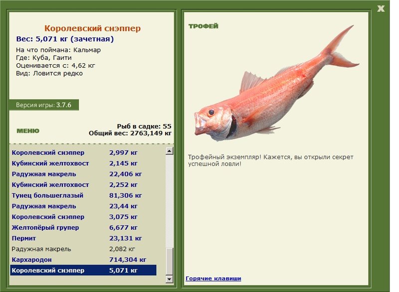 Королевский снэппер 