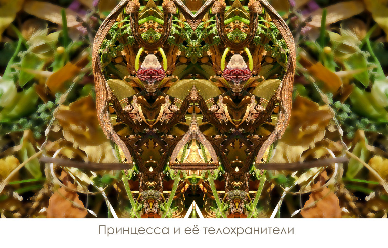 лики - Страница 12 - Форум 