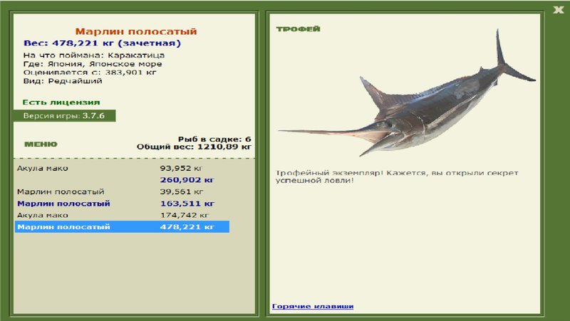 Марлин полосатый 