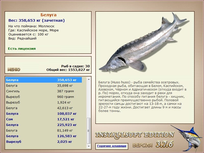 Море 