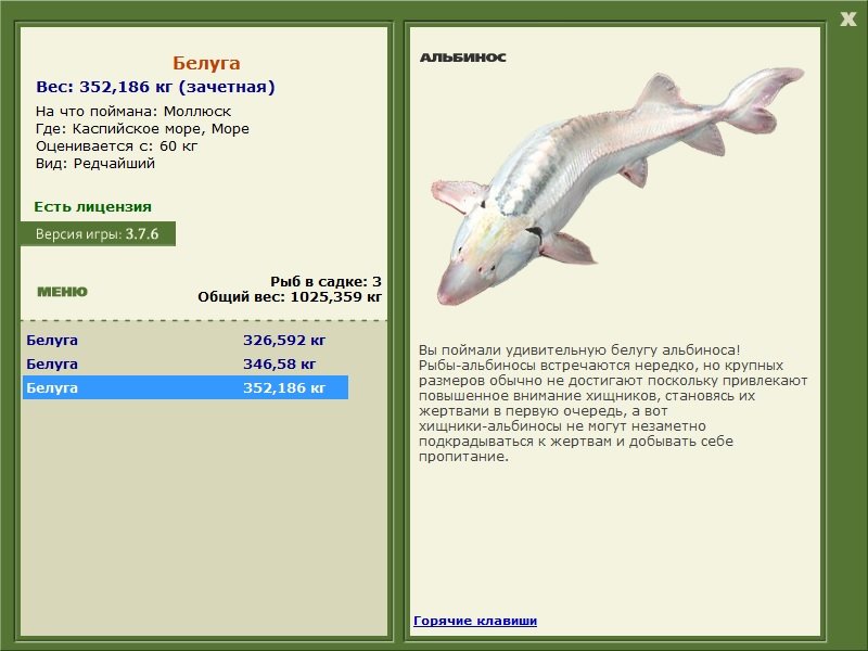 Море 