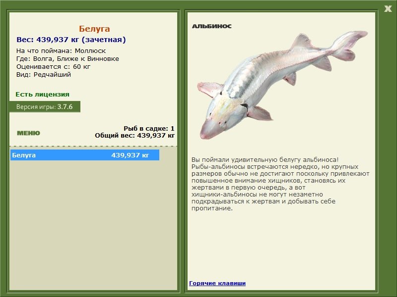 Белуга 