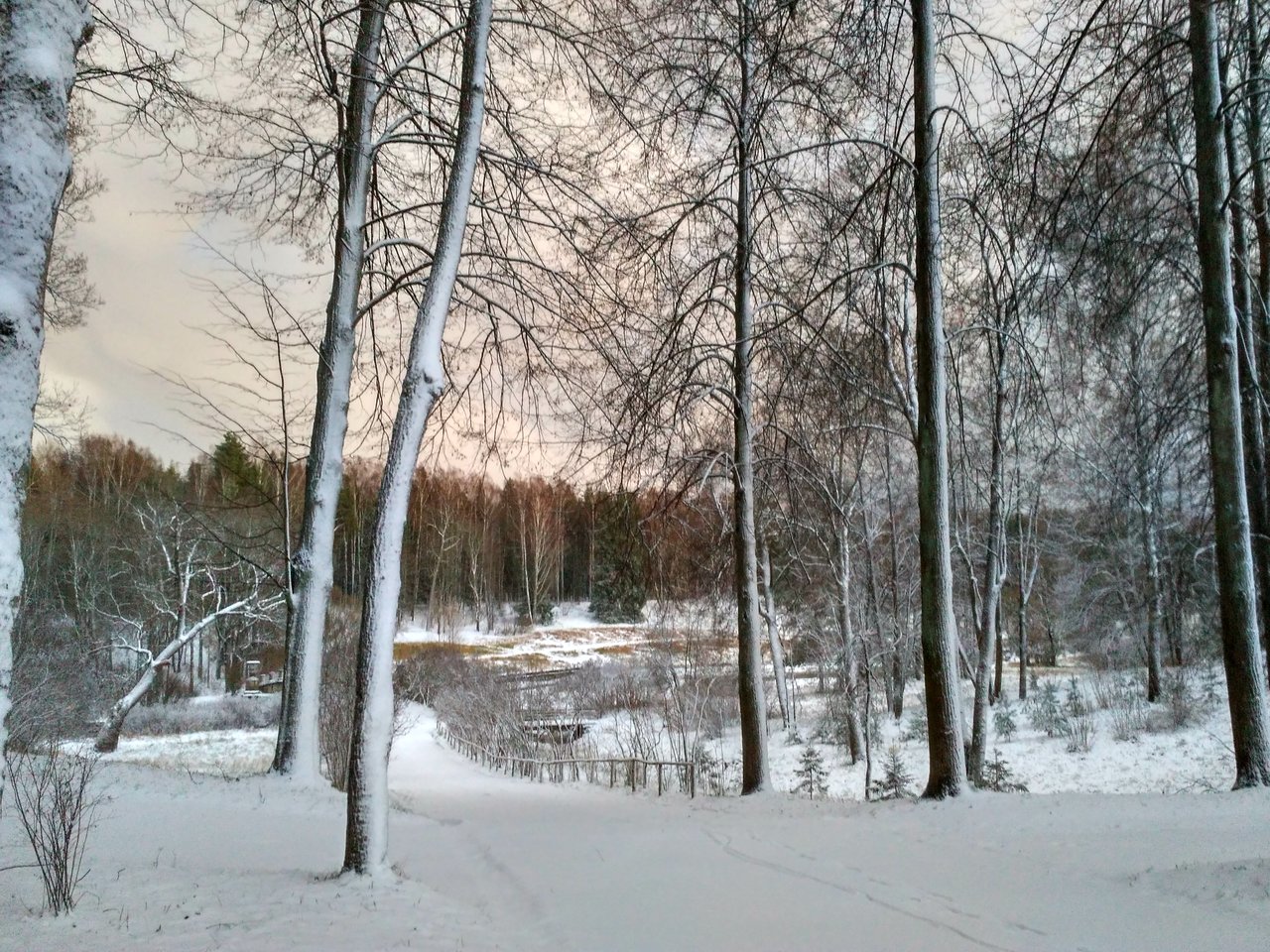  Страница 89 - Форум 