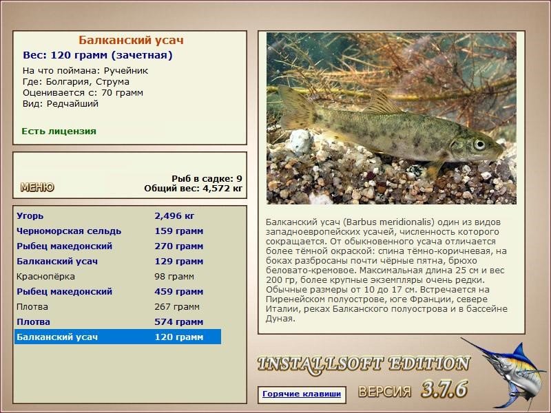 РУССКАЯ РЫБАЛКА Installsoft Edition 