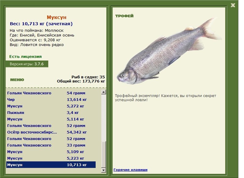 Муксун 