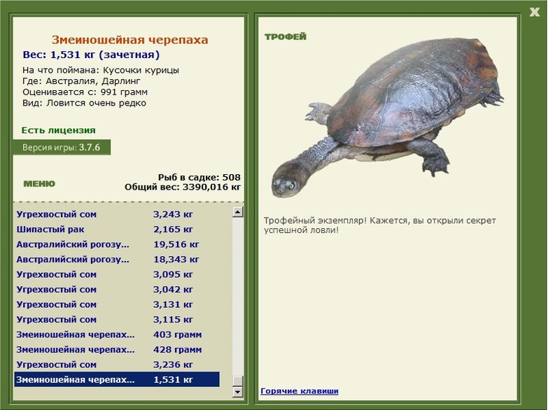 Змеиношейная черепаха 