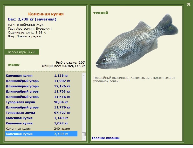 Каменная кулия 