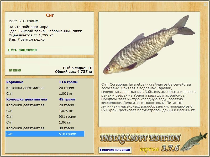 Заброшенный пляж 