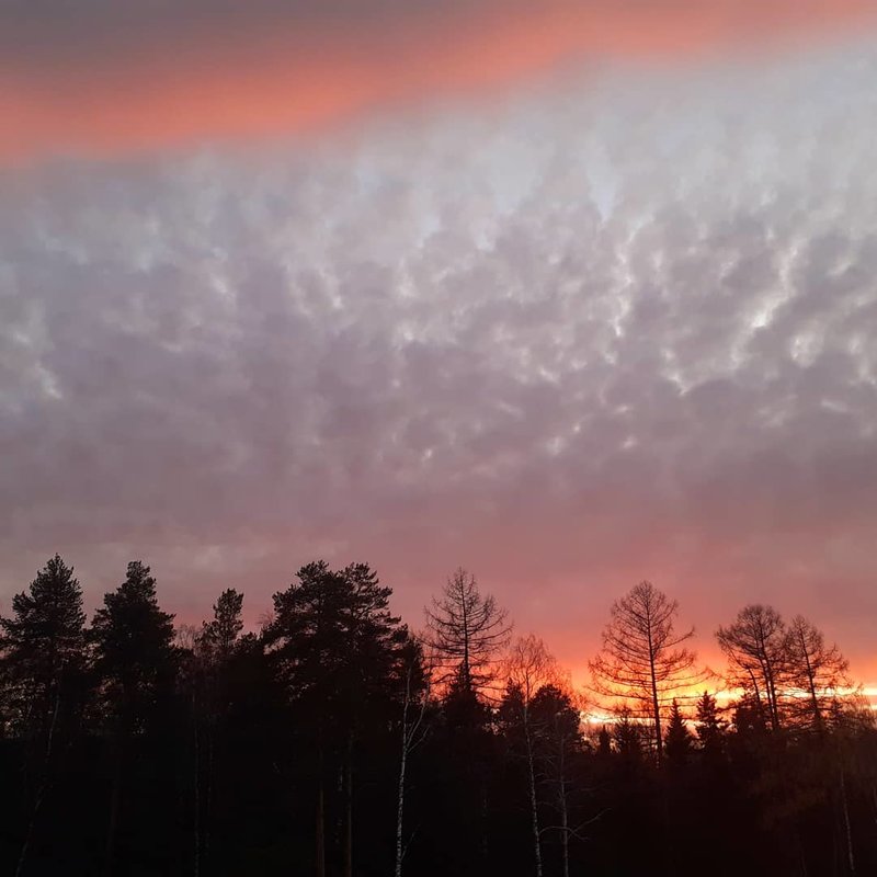  Страница 86 - Форум 