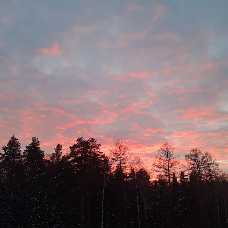  Страница 86 - Форум 