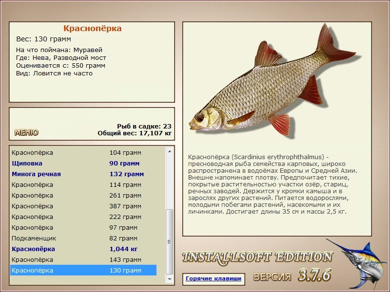 турниры • РУССКАЯ РЫБАЛКА