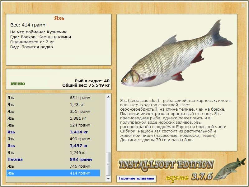 Камыш и камни 